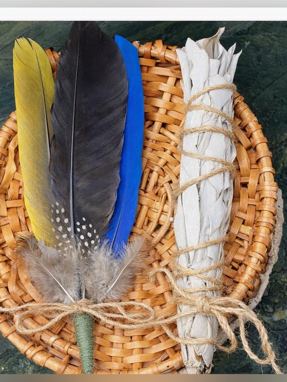Balance Gift Set Handmade Feather Fan Art and White Sage New